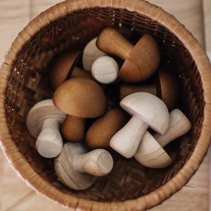 Mushroom set of 10