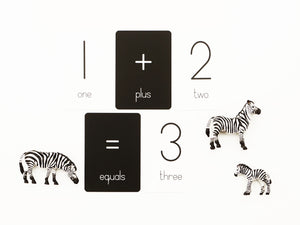Numbers & Operations Flash Cards
